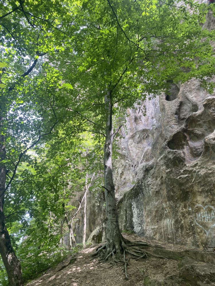 Как получить мотивацию